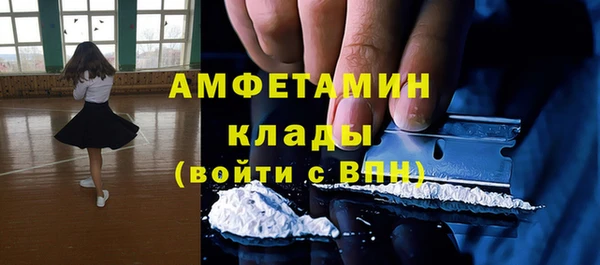ГАЛЛЮЦИНОГЕННЫЕ ГРИБЫ Аркадак