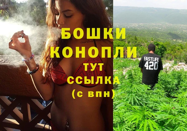 ГАЛЛЮЦИНОГЕННЫЕ ГРИБЫ Аркадак