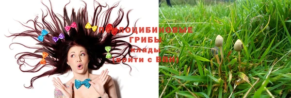спиды Арсеньев